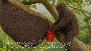 These are the best wild honey harvesters in the world