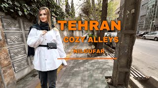 Walking in the cozy and peaceful neighborhood of Niloufar, Tehran