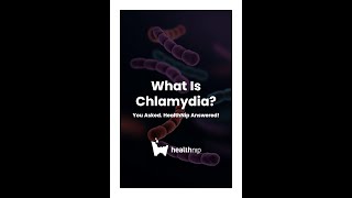 What Is Chlamydia?