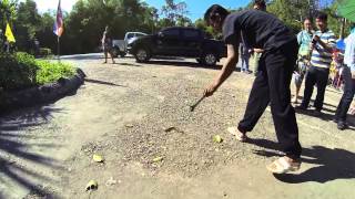 Poisonous red giant centipede - Nam Nao National Park Thailand November 2014