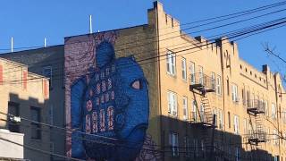 Soundview Bronx•NUBIAN ARTWORK•Fish Mural•Building Complete Cover•South Bronx nyc