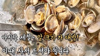 [바지락탕] 조개해감 후 바지락탕 끓이는법. 봄제철때 사서 맛있게 드세요!