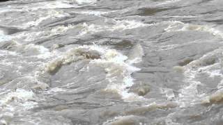 Pelagus Rapids, Rajiang River, Borneo, D