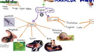 Adaptasi Makhluk Hidup Kelas 6 (Adaptasi Hewan) - Via Genially dan Mind Map