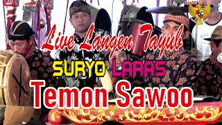 LIVE SETREAMING //SURYO LARAS // TEMON SAWOO