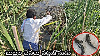 Fish hunter my daddy/బుట్టలు పెట్టీ చేపలు ఎలా పడతారో చూడండి/pardhasaradhi plans