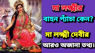 মা লক্ষ্মীর বাহন পেঁচা কেন? আরও লক্ষ্মী দেবীর অজানা তথ্য। Facts about Goddess Lakshmi.