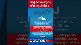 നിപ- ഒരു രോഗിയുടെ നില തൃപ്തികരം #shorts #nipah #nipahvirus #nipahhealthnews #doctorlive