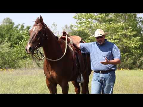 sig_tack_intro sig_tack_intro