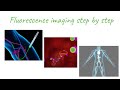 ISFGS - Fluorescence Guided Surgery Explained