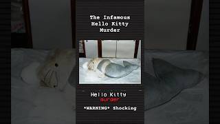 The Infamous Hello Kitty Murder | #truecrimestories #truecrimeaddict #truecrimecommunity #mystery