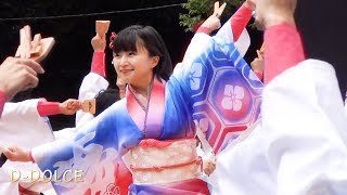 【#43】《夢源風人》原宿表参道元氣祭 スーパーよさこい 2017/08/27 神宮会館ステージ