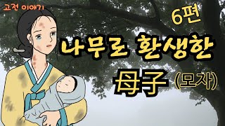 👍편하게 듣는 꿀잠 옛날이야기🌛 나무로 환생한 모자 등 6편 ㅣ민담 ㅣ전설 ㅣ설화