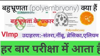 बहुभ्रूणता (Polyembryony)क्या हैं | बहभ्रूणता से आप  क्या समझते हैं | बहुभ्रूणता के प्रकार