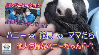 【ペンギン】≪ロングバージョン！≫一応挨拶はしてくれるハニーちゃん（伊勢シーパラダイス／水族館）