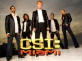 pettidee ice whites csi miami season 10 episode 8