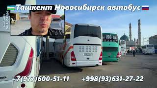 32) Ташкент-Новосибирск автобус | Новосибирск-Ташкент автобус | Toshkent-Novosibirsk