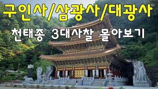 천태종 3대사찰 몰아 보기 / 총본산 구인사 / 부산 거점사찰 삼광사 / 수도권 거점 사찰 대광사