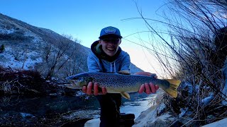 Fishing the Weber River Early Winter 2022!