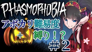 ◆Phasmophobia│倍率24倍+縛りで遊びましょう＃2