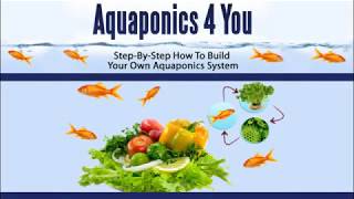 Starting an Aquaponics System | Step-By-Step Setup 🐟🐟🥒🥬🥦