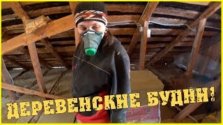 Деревенские будни / Пришла весна / Выпустили коров / Купили луковицы цветов