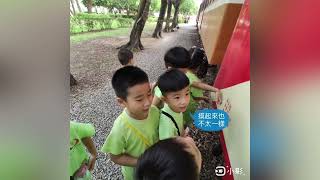 景仁幼兒園｜貝多芬班｜來嘉𨑨迌｜20231108｜剪輯者：珮萱老師