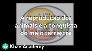 A reprodução dos animais e a conquista do meio terrestre