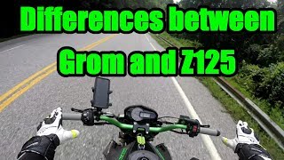 Z125 and Grom Comparisons.