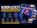 After watching this, your brain will never be the same | Lara Boyd
