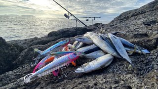 冷凍サバvs大型ルアー！！真夏の離島で「大型青物と超高級魚」を狙った1泊2日のサバイバル