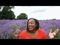 exploring mayfield lavender farm london lavender fields near london