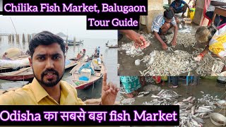 Visit to Famous and biggest Balugaon Chilika fish market, Khurda , Odisha || Fish, Prawn, Crab Sell