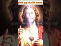 இயேசு 🛐 பேசுகிறார் தேவனை நம்பு நீ வெற்றி 😇 காண்பாய் jesus jesuschrist jesuslovesyou amen