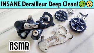 Step-by-Step: Deep Clean Your Bike Derailleur | DIY Cleaning Shimano Altus Rear Derailleur