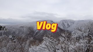 Vlog￼ - 제주도 여행..아니 표류기✈️/설연휴 제주여행🏝️/한라산 눈꽃산행❄️