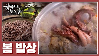 예천 두 사돈이 함께 차린 푸릇푸릇한 봄 밥상 [한국인의 밥상] 20200319