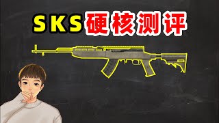 新版本的SKS好用吗？一分钟用十项数据解析给你答案！【萌少】