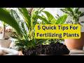 5 Quick Tips on Fertilizing Your Plants | How to Improve Plant Growth