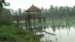 ৭ বছরেও হয়নি আলতা দীঘির অবকাঠামোগত উন্নয়ন | Nawgaon Altadighi | News Today | Jayanta | 29Sep18