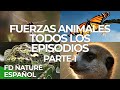 Fuerzas Especiales Animales Todos los Episodios Parte 1 | Free Documentary Nature Español
