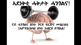 ዘገሩሙ ሓቅታት ሓንጎል