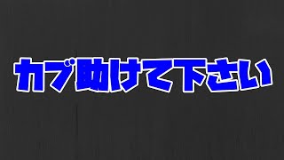 【あつまれどうぶつの森】助けてください【ホロスターズ/夕刻ロベル】