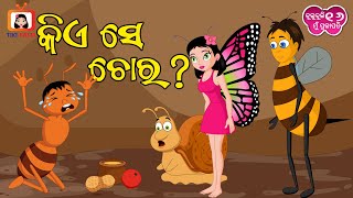 କିଏ ସେ ଚୋର ?/ kie se chora ? Odia cartoon comedy / Butterfly Frog comedy / Chulubuli Mu Prajapati