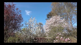 Frühling, Tiefblauer Himmel ohne Kondensstreifen, Quellwolken im Zeitraffer, Neoklassik,mehr Energie