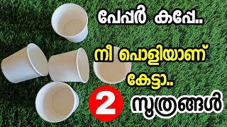 അമ്പമ്പോ.. പേപ്പർ കപ്പ് കൊണ്ട് ഇങ്ങനെയൊക്കെ കഴിയുമോ?? 2 Reuse Ideas Of Paper Cups