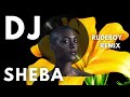 Rude Boy - Rihanna - DJ Sheba House Remix 2024