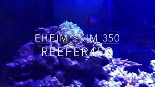 EHEIM SKIM 350 IN A SALTWATER TANK?!