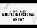 Visual Basic Multi Dimensional Array Sample