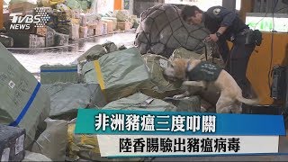 非洲豬瘟三度叩關　陸香腸驗出豬瘟病毒